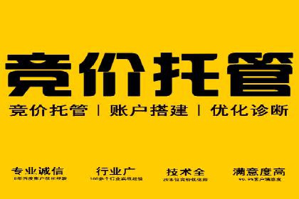 百度竞价包年推广：成功案例解析与效果评估